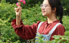 儿女传奇之百草奇缘